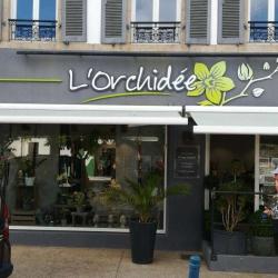 L'orchidée