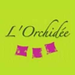 L'orchidee
