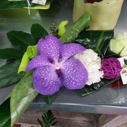 L'orchidée