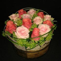 L'orchidée
