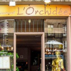 L'orchidée