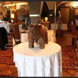 L'ours Des Roches