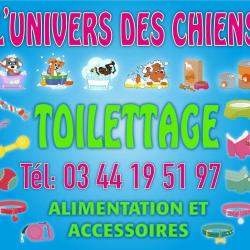 L'univers Des Chiens