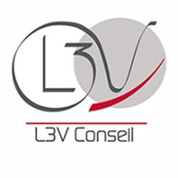 L3v Conseil