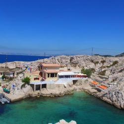 La Baie Des Singes