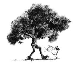 La Bergerie Des Rêves
