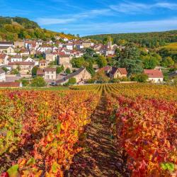 La Bourgogne