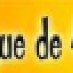 La Boutique De 4pattes A Dom'