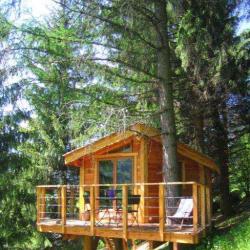 La Cabane Dans Les Arbres