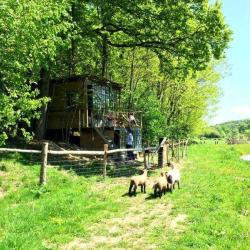 La Cabane Sauvage
