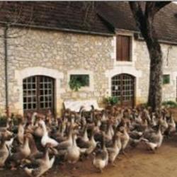 La Campagnoise