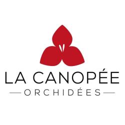 La Canopée Orchidées