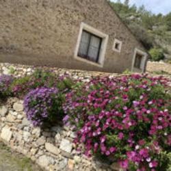 La Cave D'arthur - Gîtes De France