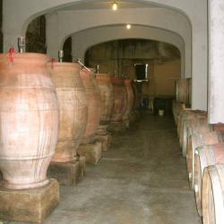 La Cave De Don Doudine