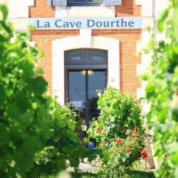 La Cave Dourthe