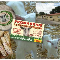 La Chevrette De Blandine