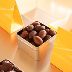 La Chocolaterie William Artigue