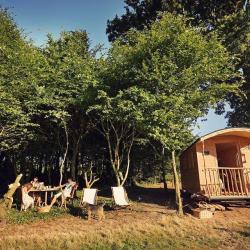 La Chouette Cabane