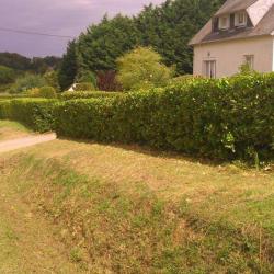 La Clef Du Jardin Christ Et Laur