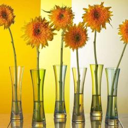 La Compagnie Des Fleurs