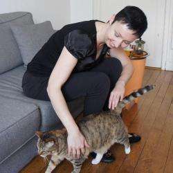 La Conciergerie Des Chats