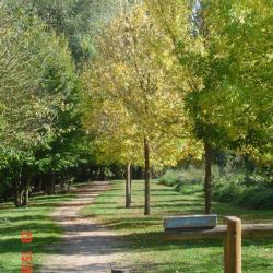 La Coulée Verte