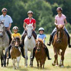La Courbette équitation
