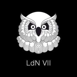 La Dame Noir VII