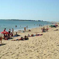 La Faute Sur Mer