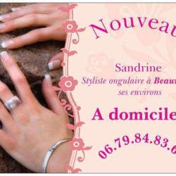 La Fée Des Ongles