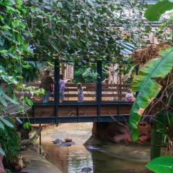 La Ferme Aux Crocodiles - Réserve Tropicale
