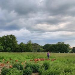 La Ferme Biologique Du Grand Bois