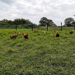 La Ferme Biologique Du Grand Bois