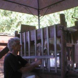 La Ferme De Beaugensiers