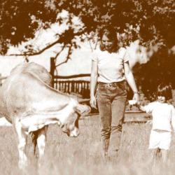La Ferme De Cécile
