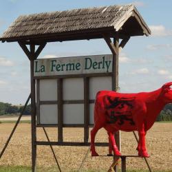 La Ferme De Derly