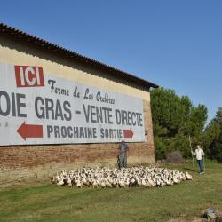 La Ferme De Las Cabrères
