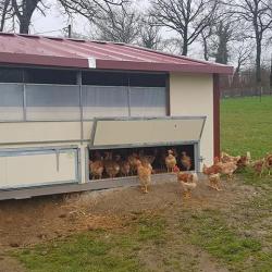 La Ferme De Sargnat