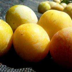 La Ferme Des Fruitiers