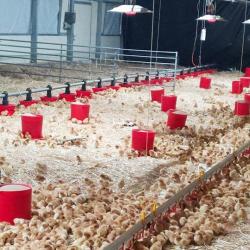 La Ferme Des Popoullettes