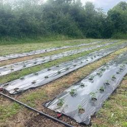 La Ferme Des Saveurs