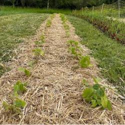 La Ferme Des Saveurs