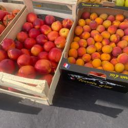 La Ferme Des Saveurs
