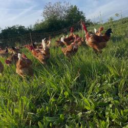La Ferme Des Saveurs