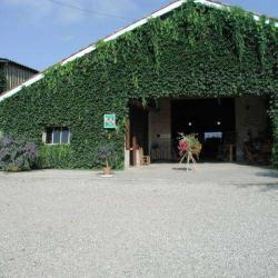 La Ferme Des Tuileries