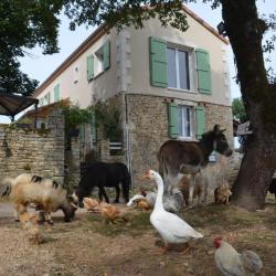 La Ferme Des Vergnes