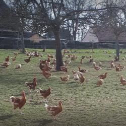 La Ferme Du Buisson