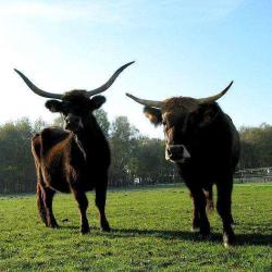 La Ferme Du Monde
