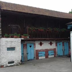 La Ferme Du Porc Sain