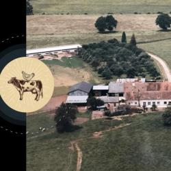 La Ferme Les Alizés